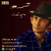 دانلود آهنگ وحید نامدار نرو